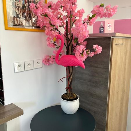 Maison Pink Flamingo Aeroport Tille 2 A 4 Personnes Esterno foto